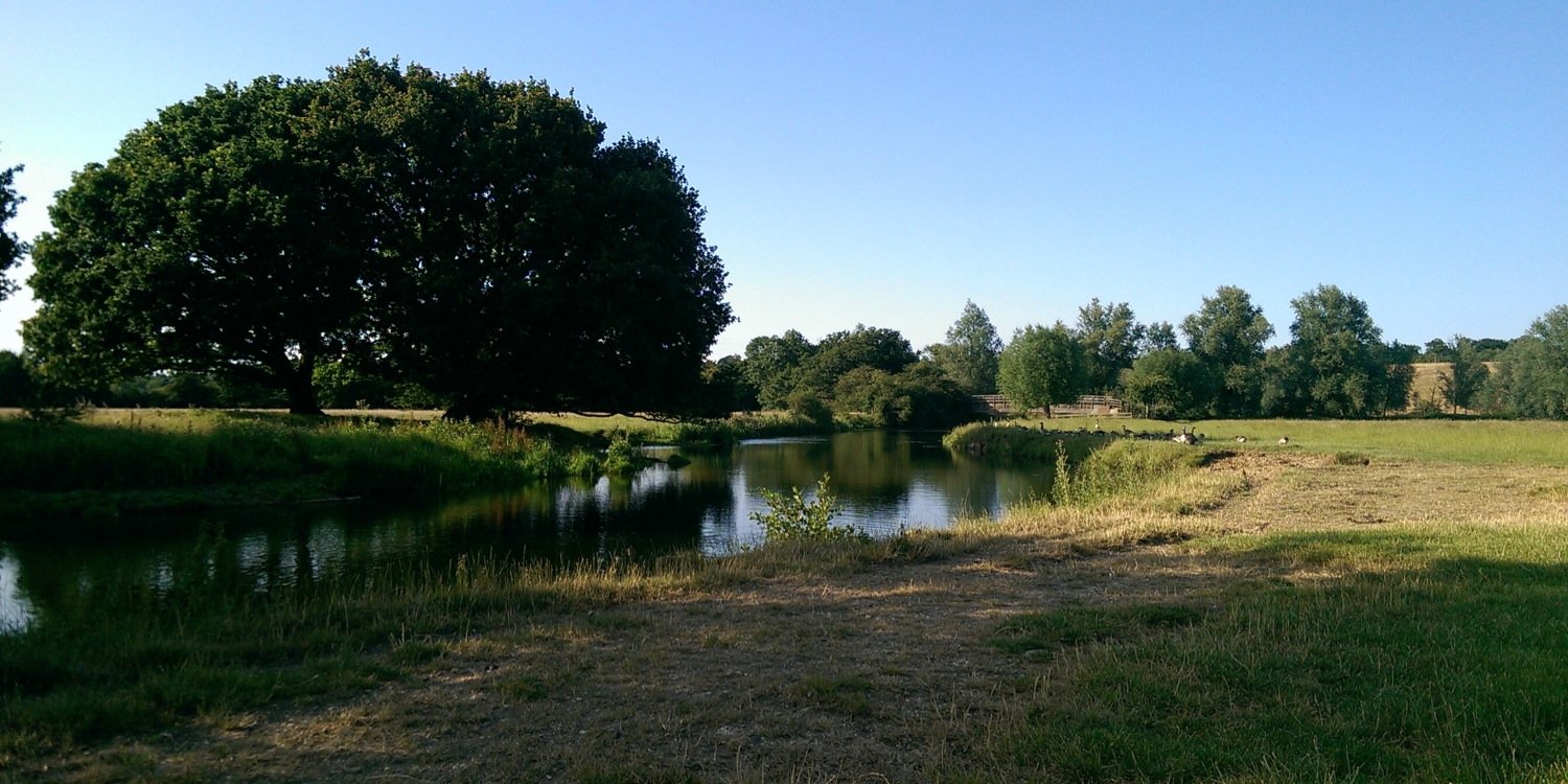 Dedham Tree Surgery banner