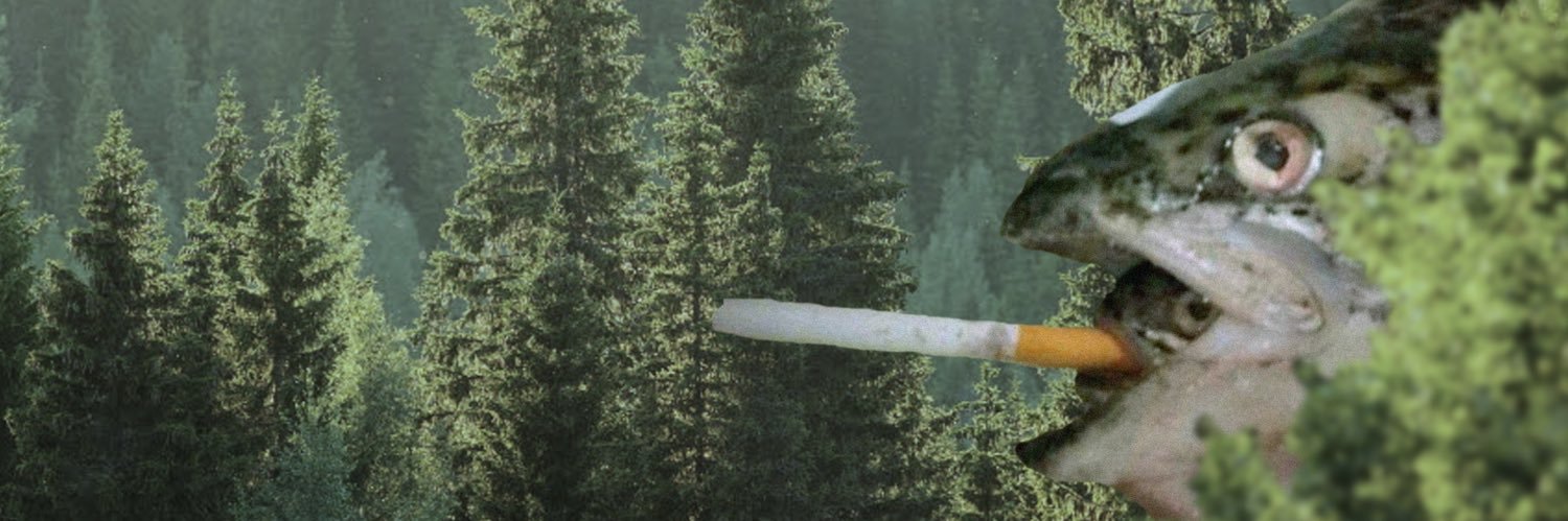 andrewprks's profile banner image
