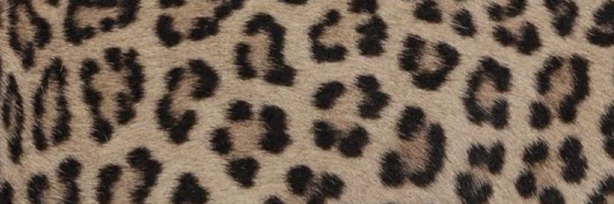kbarker_'s profile banner image