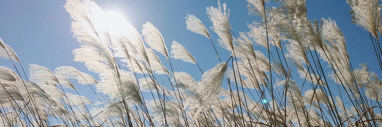 mayjk4ever's profile banner image