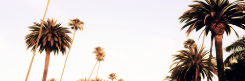 putabida_'s profile banner image