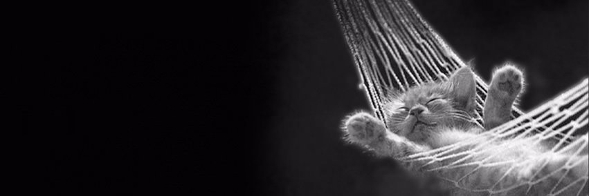 Nans :) banner