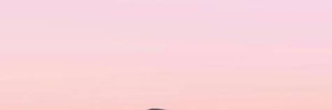 Robbi15_'s profile banner image