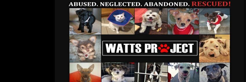 wattsproject's profile banner image