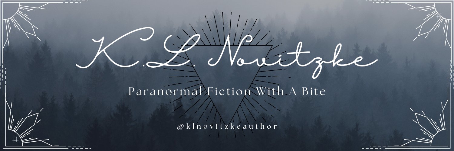 KL_Novitzke's profile banner image