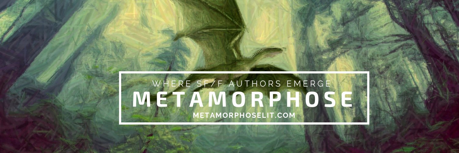 MetamorphoseLit's profile banner image