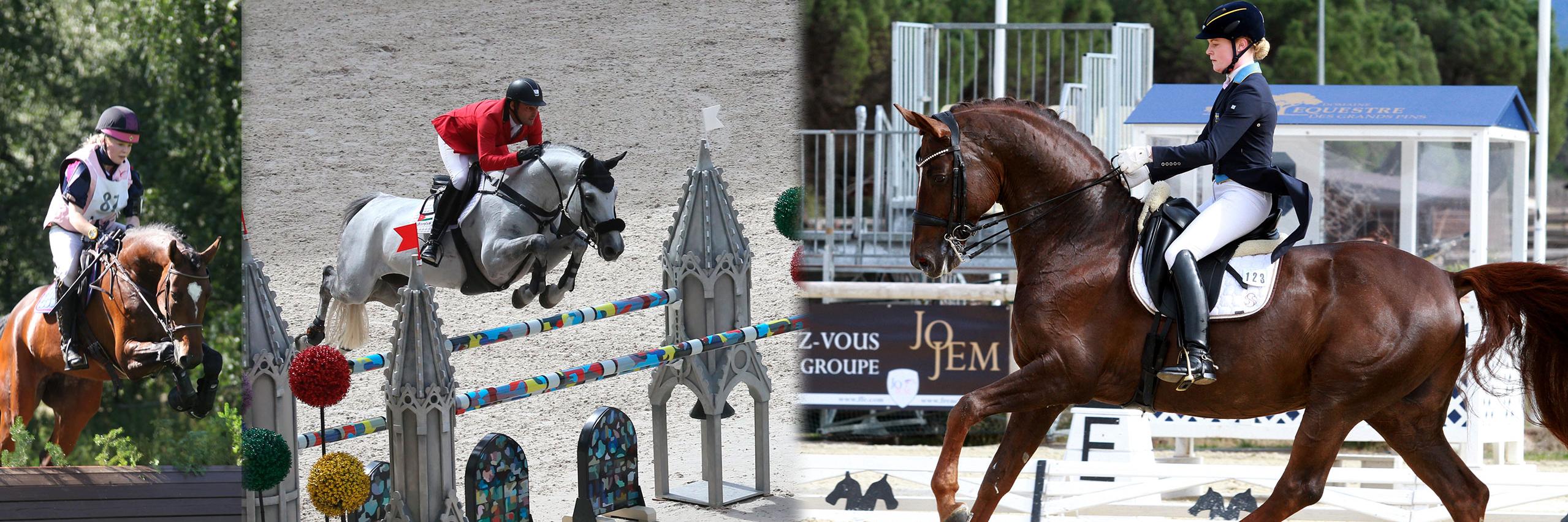 FWBhorses's profile banner image