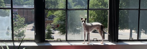 samuel_m_sturm Profile Banner