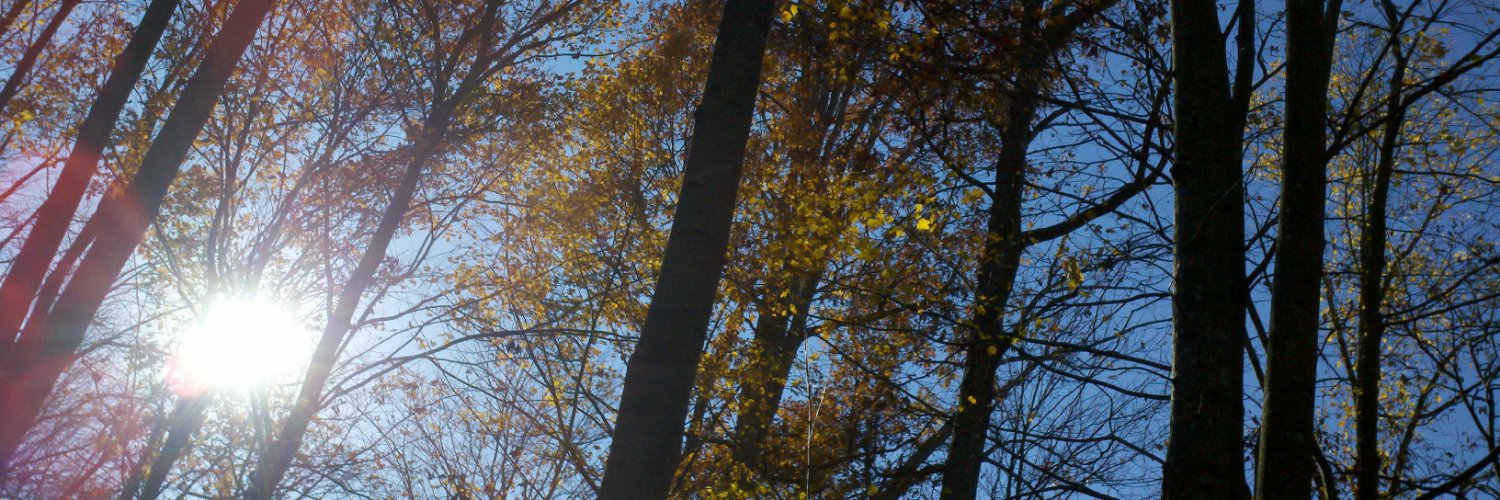 BigDaddyKong's profile banner image