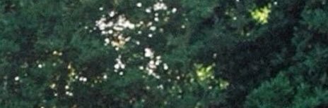 wellbehabit's profile banner image