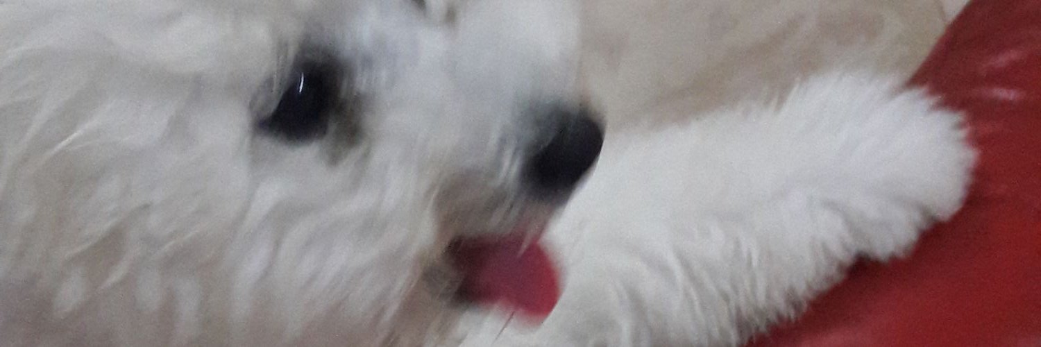 Wchristien's profile banner image