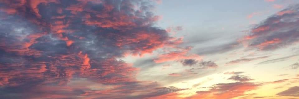 Sharon Clancy banner