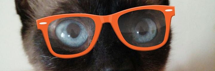 Rachel the Lionheart🦁❤️🐈🐩 banner