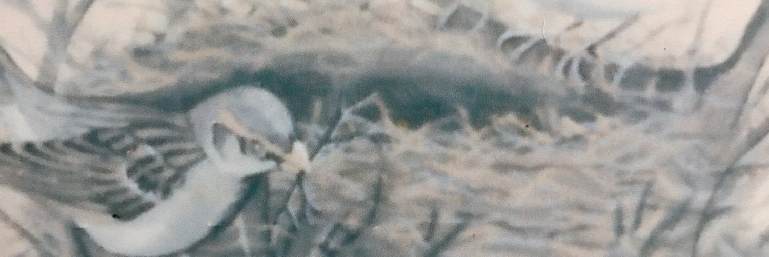 halton_ann's profile banner image