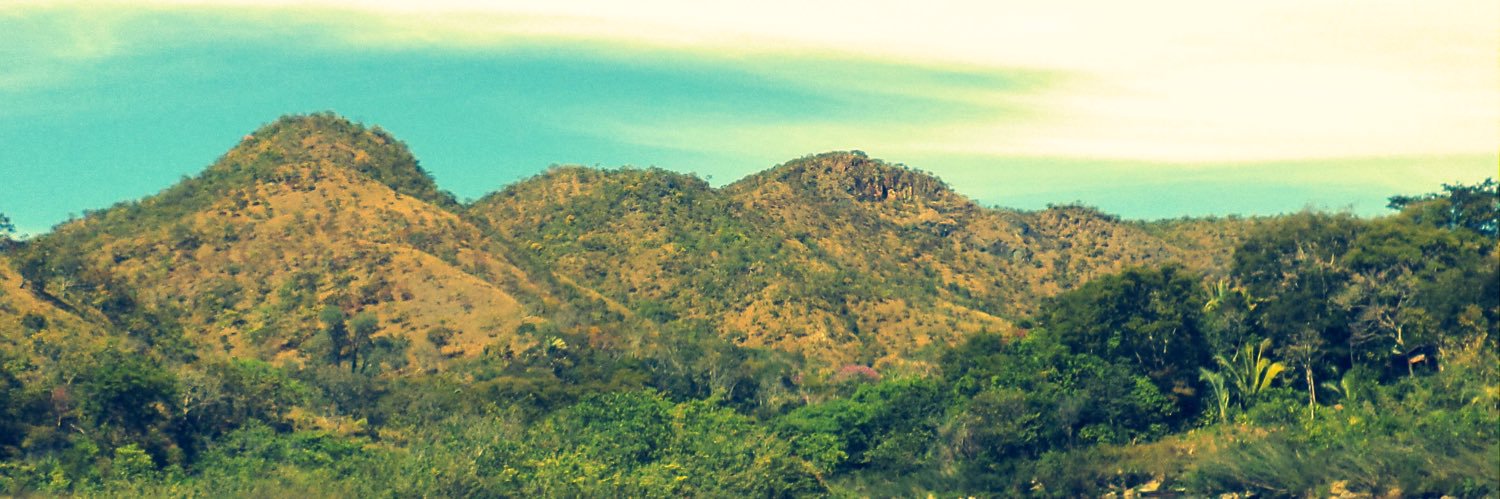 vickscunha1's profile banner image