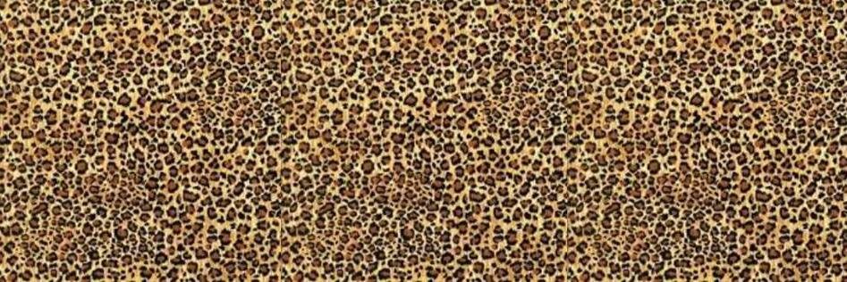 alindahasti's profile banner image