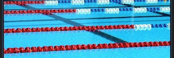 shanaswim's profile banner image