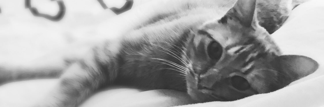 liljshow's profile banner image