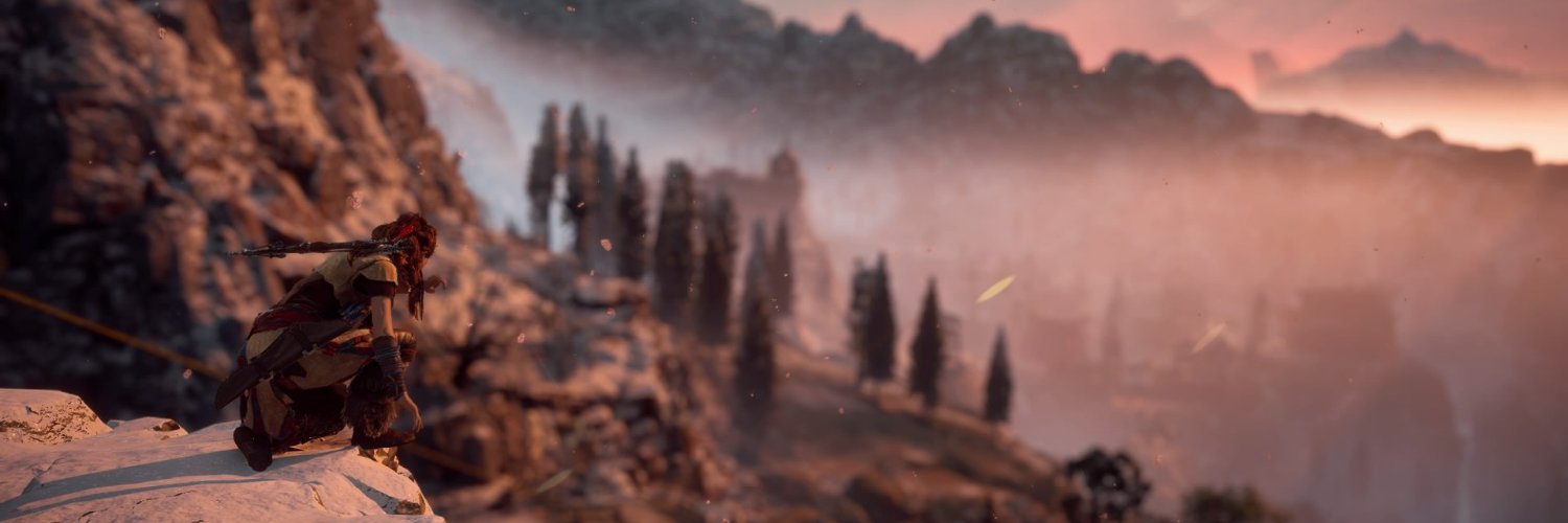 nehvaleem banner