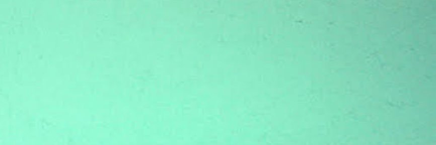 kaplandamla's profile banner image