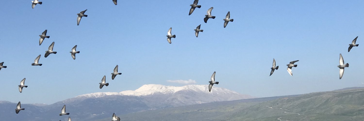 Elana Spector-Cohen banner