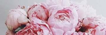 clapenta_'s profile banner image