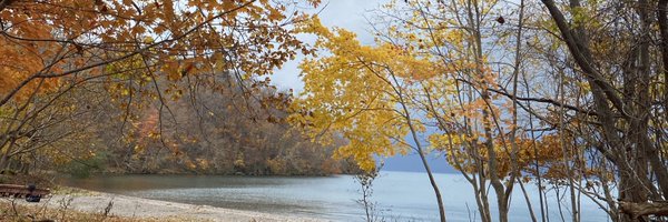 UenoSae0712 Profile Banner