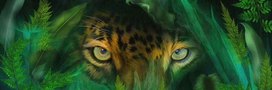 JagsFan706's profile banner image