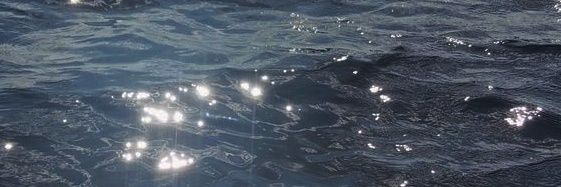 dyan banner