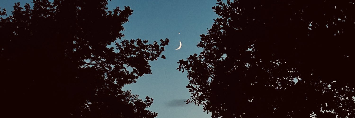 11_Indigo_'s profile banner image