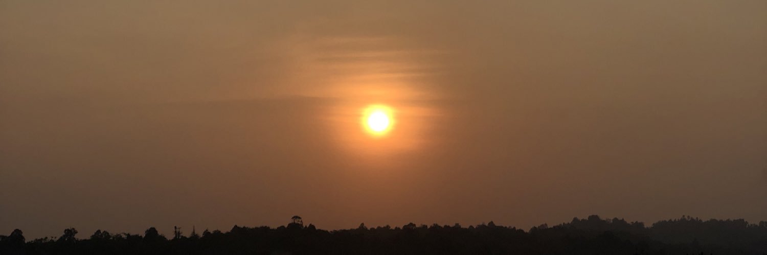 JodiiLisando's profile banner image