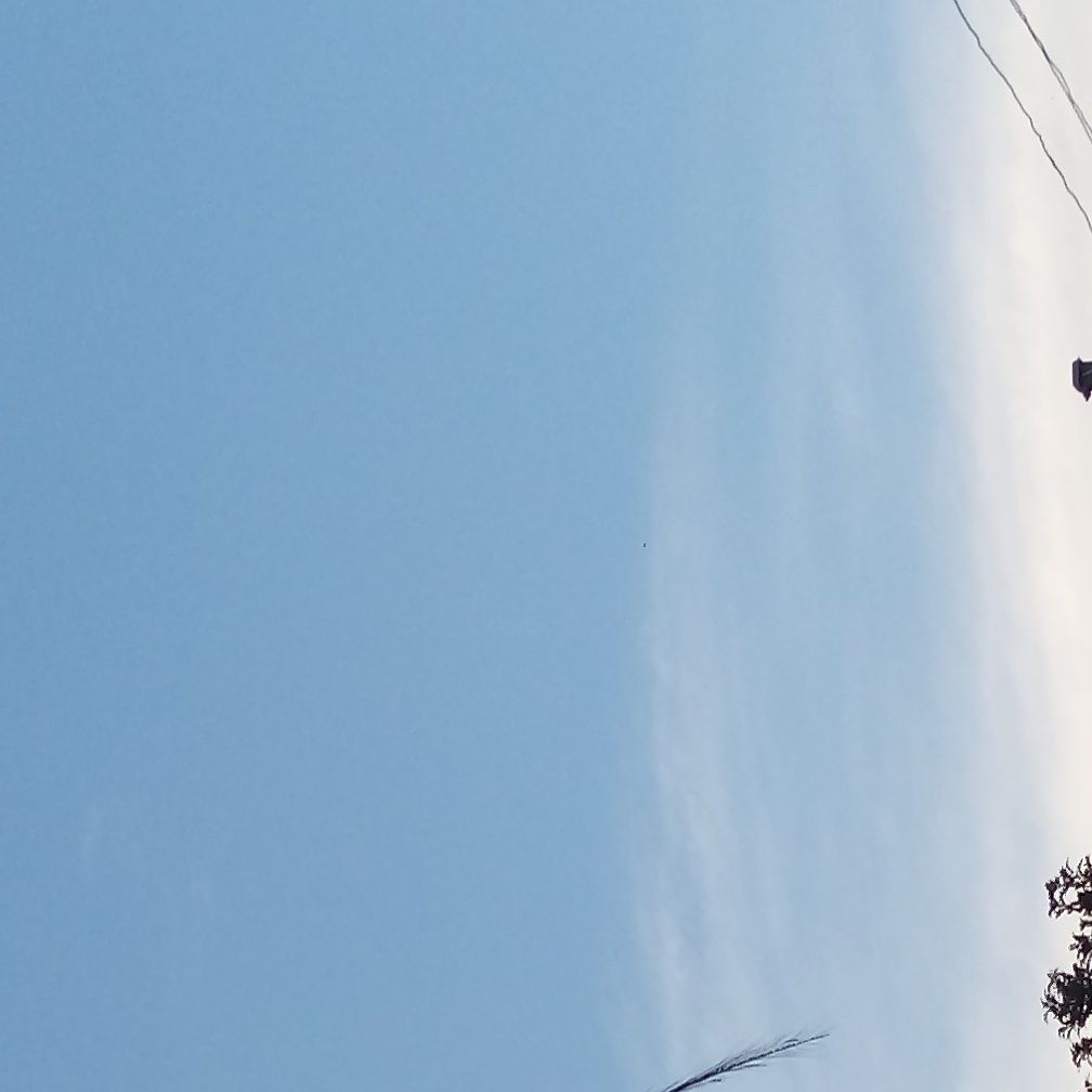 ZinhoPrz's profile banner image