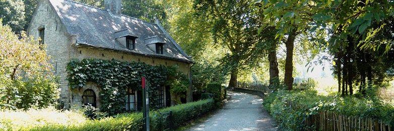 Didier Gosuin banner