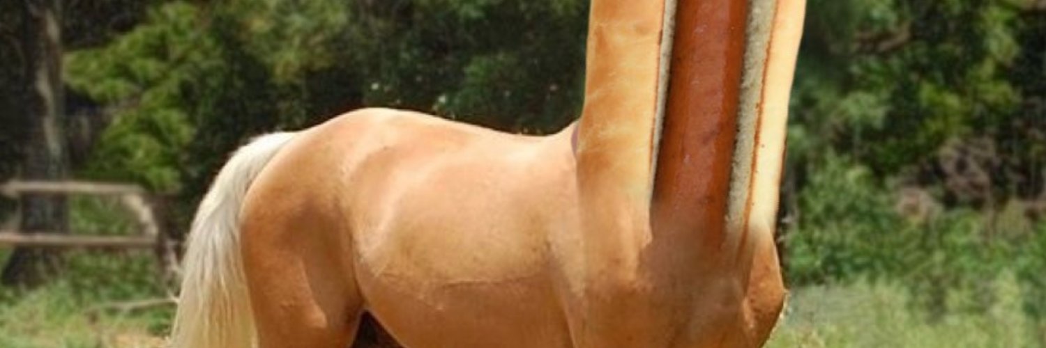 𓅃 Diagonal Sandwich Cutter banner