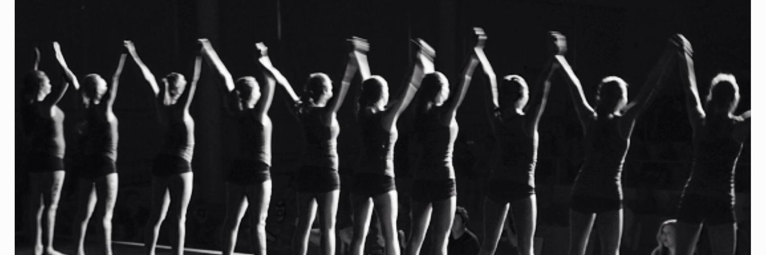 NPSS DANCE banner