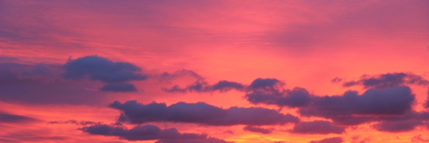 Julie_Bolduc's profile banner image
