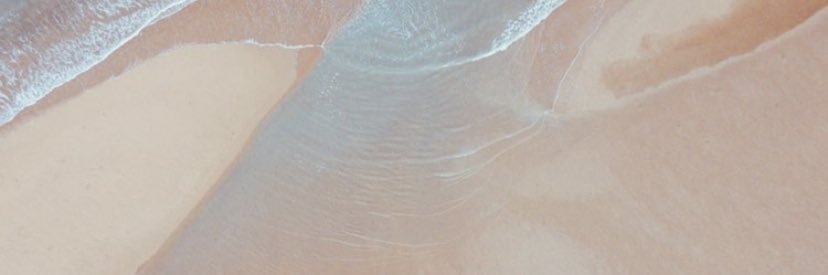 Emily Novotny banner
