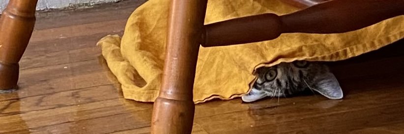 maiahbaker's profile banner image