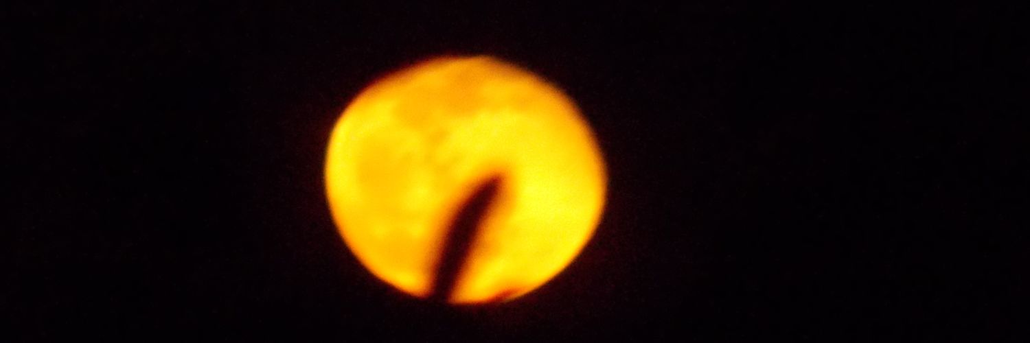 Zee141_official's profile banner image