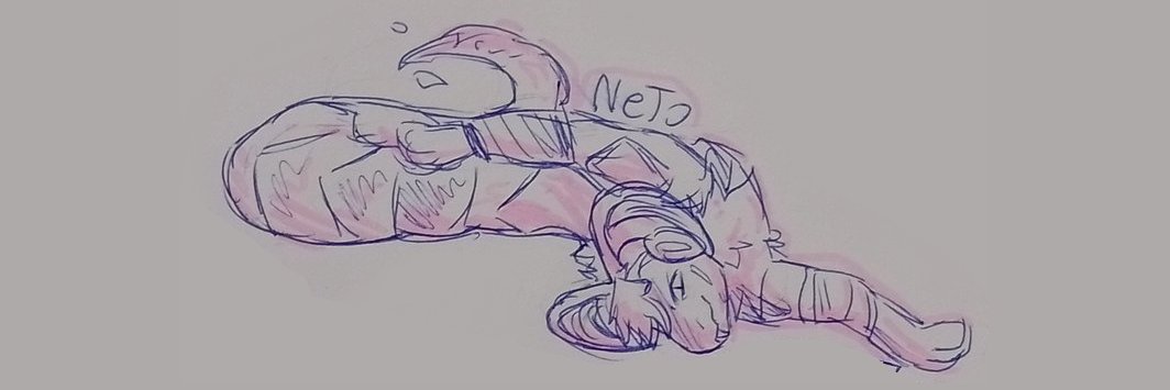 netosilvagames's profile banner image