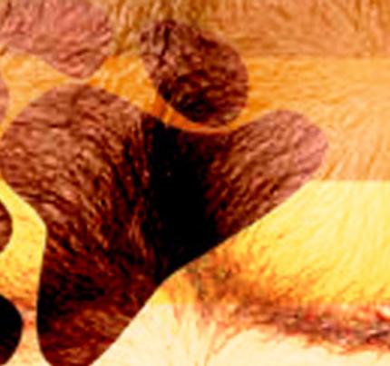 Armanp83's profile banner image