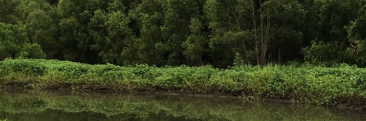 reganator10's profile banner image