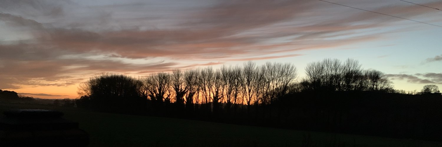 Denise Mickle banner