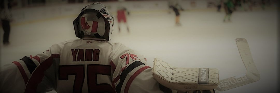 zkotti's profile banner image