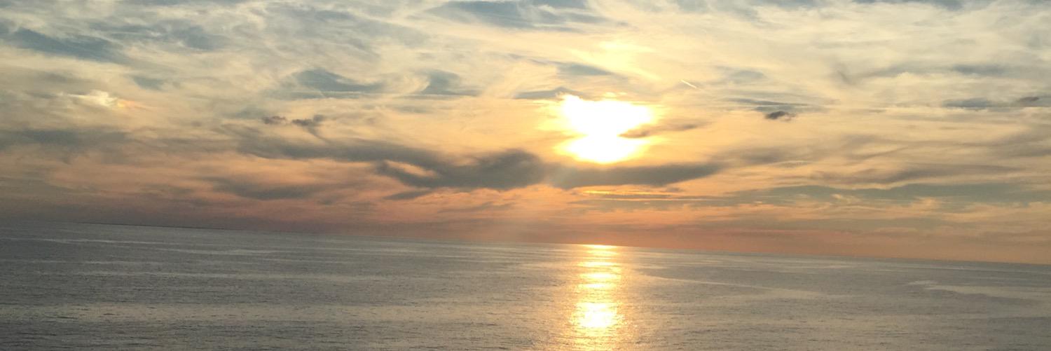 BrianneDwyer's profile banner image