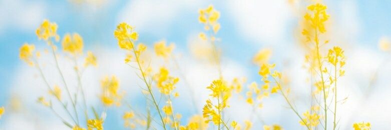marge2111's profile banner image