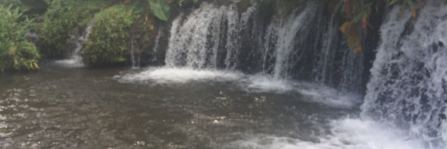 druubans's profile banner image