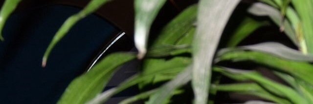 ariworgdr's profile banner image
