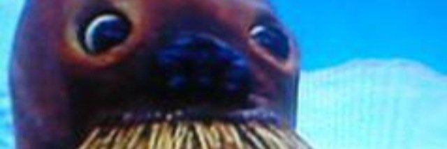 24todo_bot's profile banner image