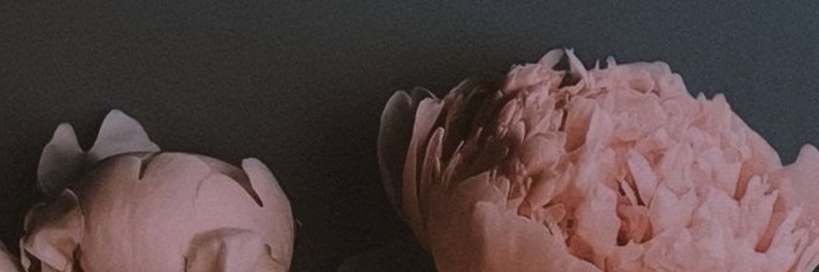 5carl3th's profile banner image